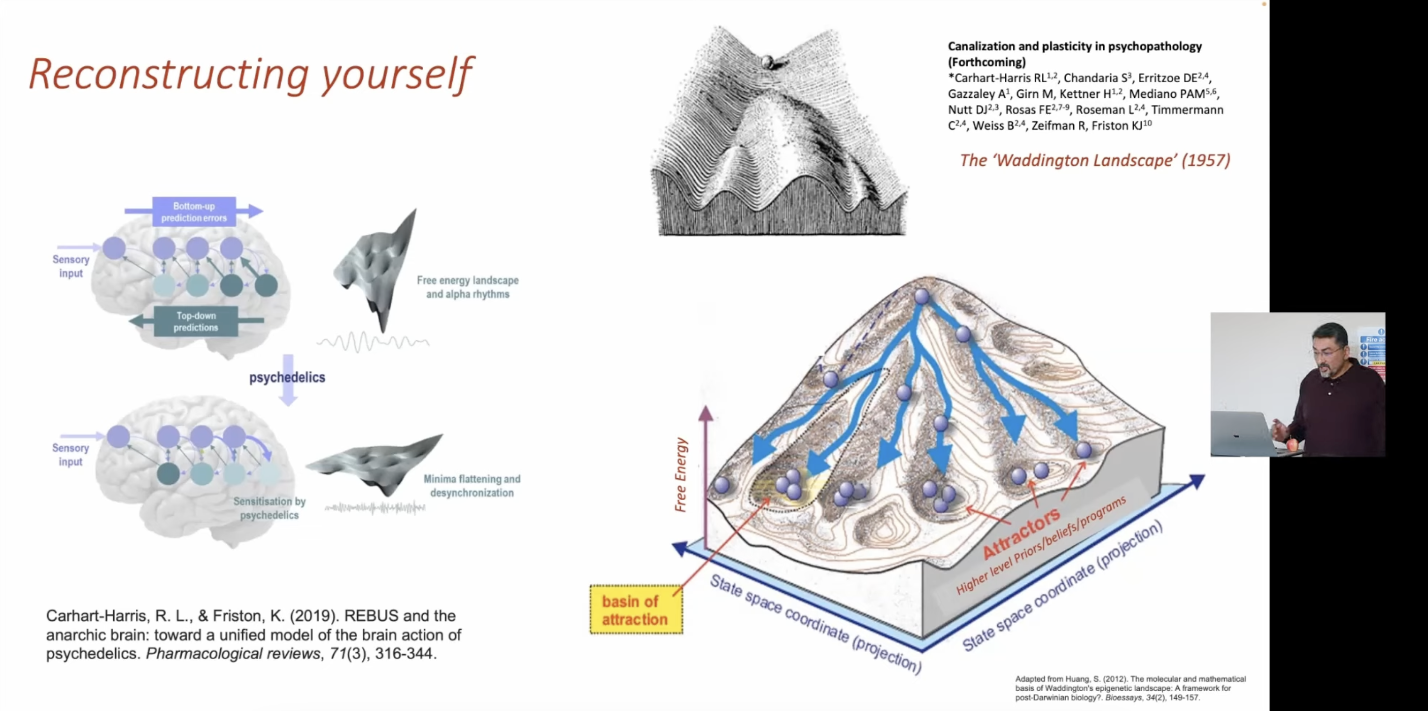 The REBUS model: psychedelics flatten the free energy landscape, allowing escape from deep belief attractors