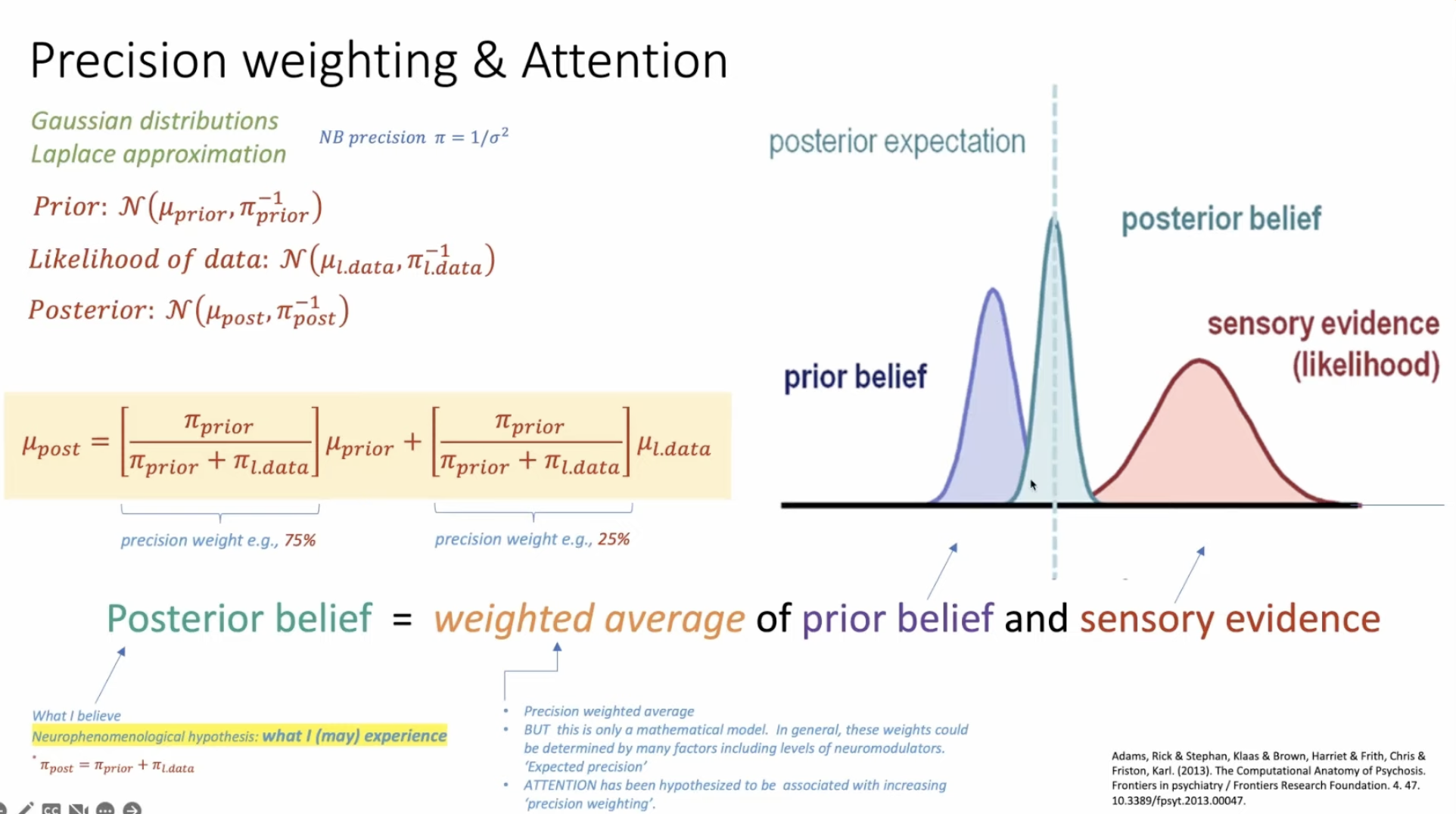 Precision weighting: posterior belief as weighted average of prior and sensory evidence, with precision determining the weights